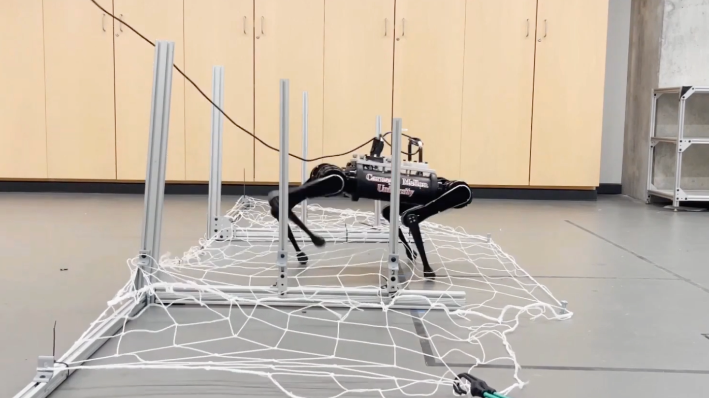 Better navigation of complex environments could help robots walk in the wild.