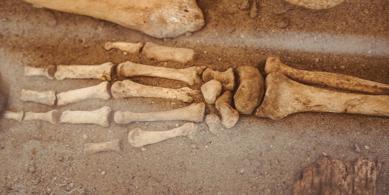 Sensitive to pain? It could be your Neanderthal gene variants.