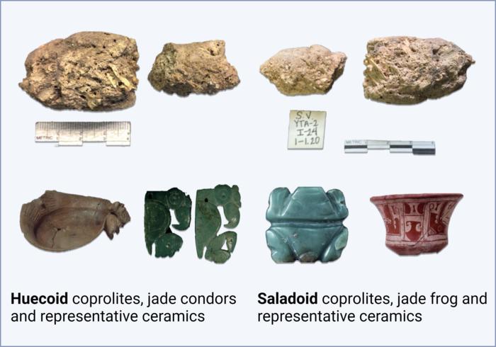 Coprolites and artifacts recovered from the Huecoid and Saladoid archaeological sites.CREDIT: Chanlatte and Narganes, CC-BY 4.0