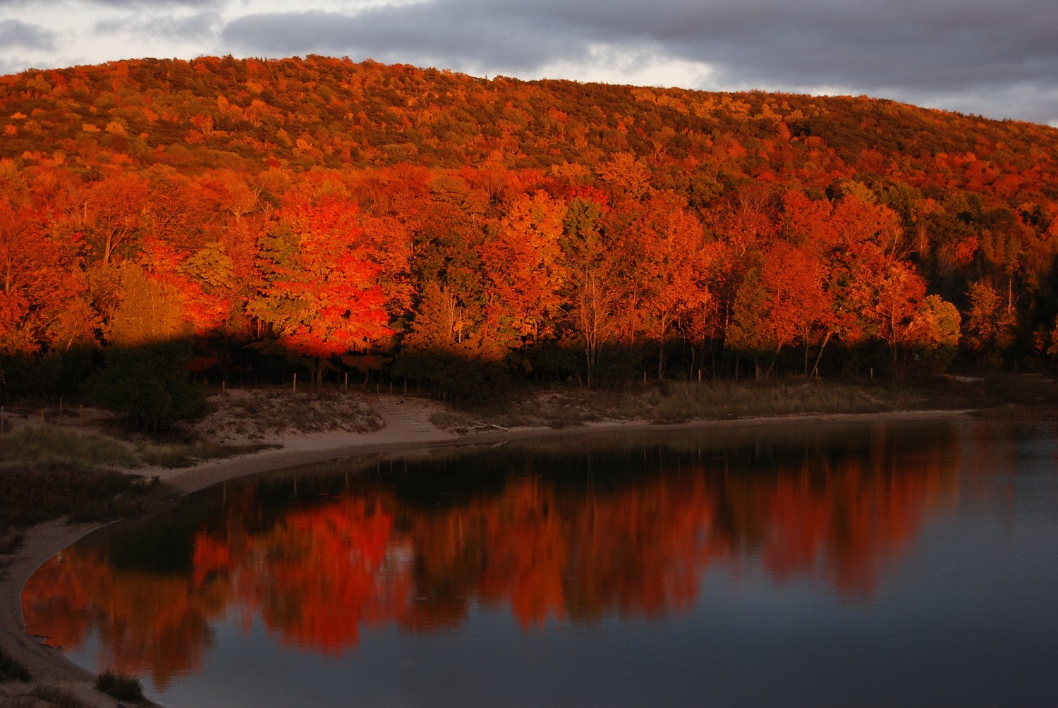 Red fall foliage in forest at Sleeping Bear Dunes National Lakeshore