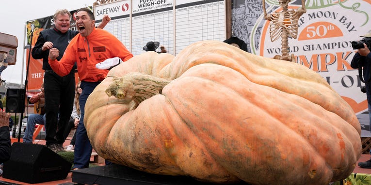 This year’s heaviest pumpkin could be baked into 700 pies