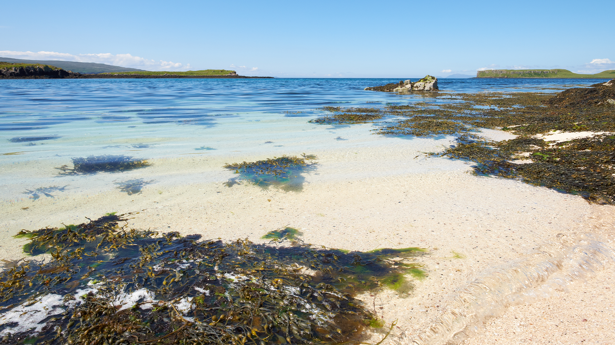 Coral Beach on Scotland’s Isle of Skye, dotted with various types of seaweed.
