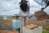 A female lab technician wearing a protective covering to keep her safe from bee stings points to a bee hive on a rooftop lab. 