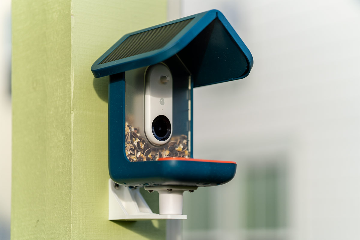 Bird Buddy Smart Bird Feeder review: A camera that's not just for the birds