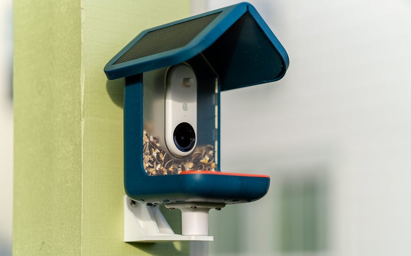 Bird Buddy Smart Bird Feeder review: A camera that's not just for the birds