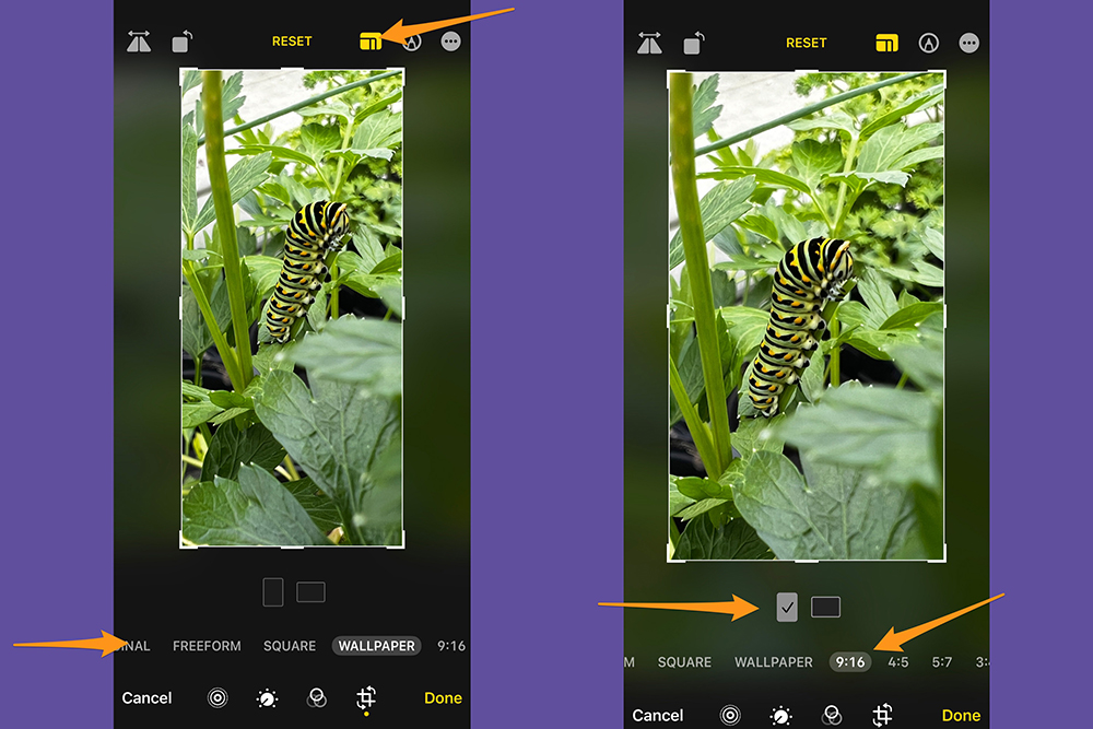 The iPhone Photos app, showing where to find the aspect ratio crop tool and other crop settings while editing.