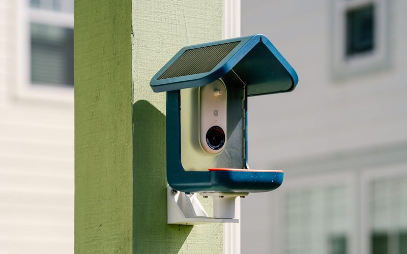 A blue Bird Buddy is mounted on a post in front of a house.