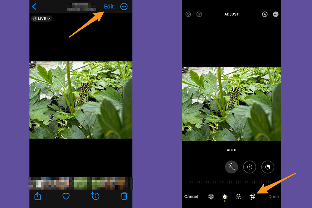 The iPhone's Photos app, with an image open for editing, showing where to find the Edit button and crop tool.