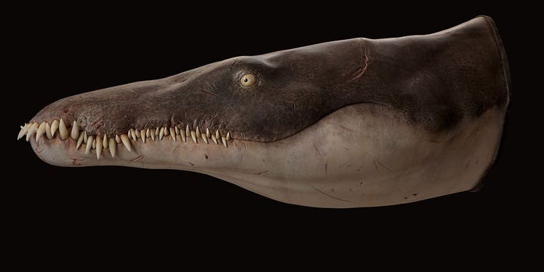 This Jurassic-era ‘sea murderer’ was among the first of its kind