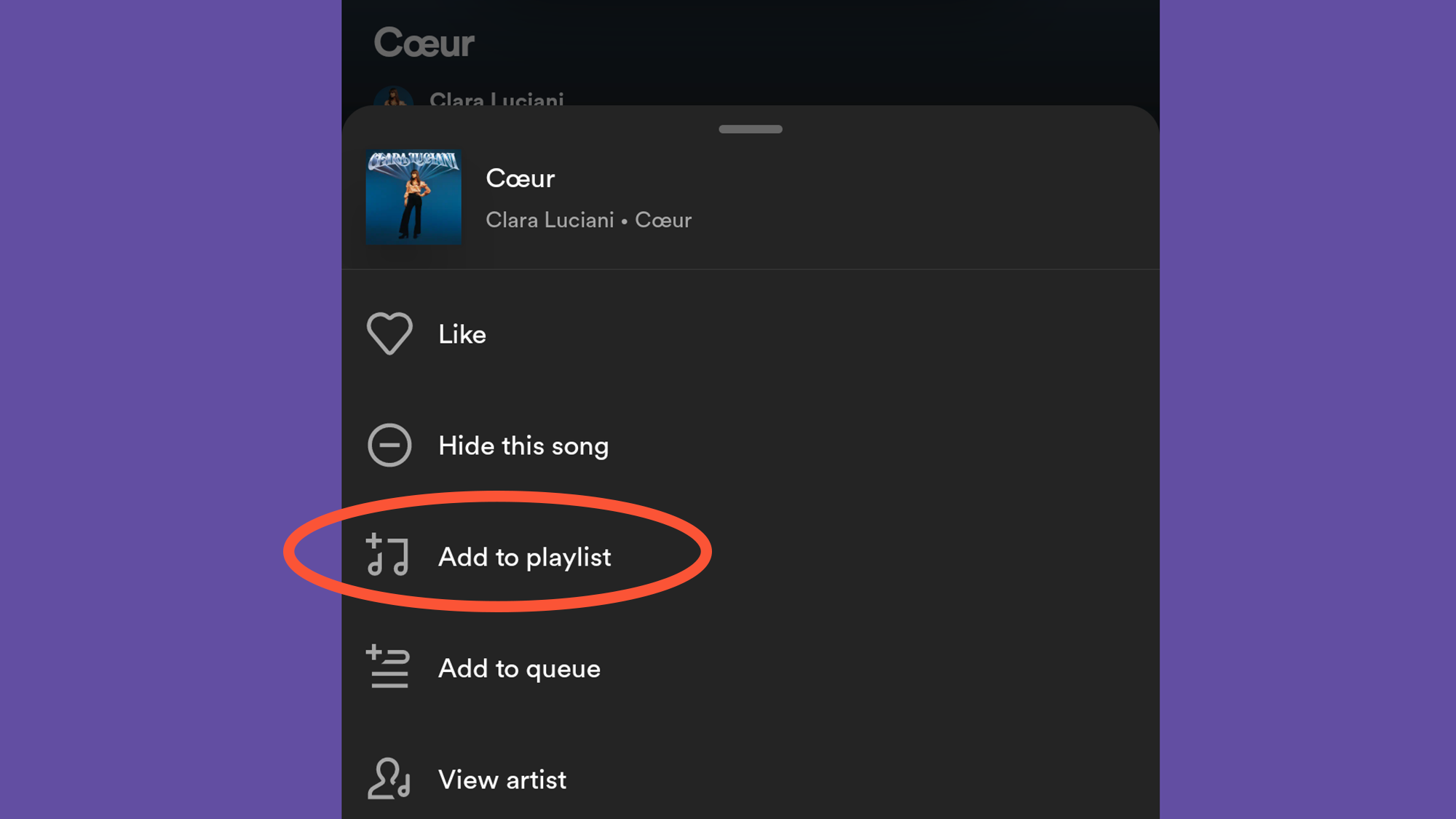 Menu do Spotify mostrando todas as opções que você tem com músicas específicas, incluindo adicioná-las a uma playlist.