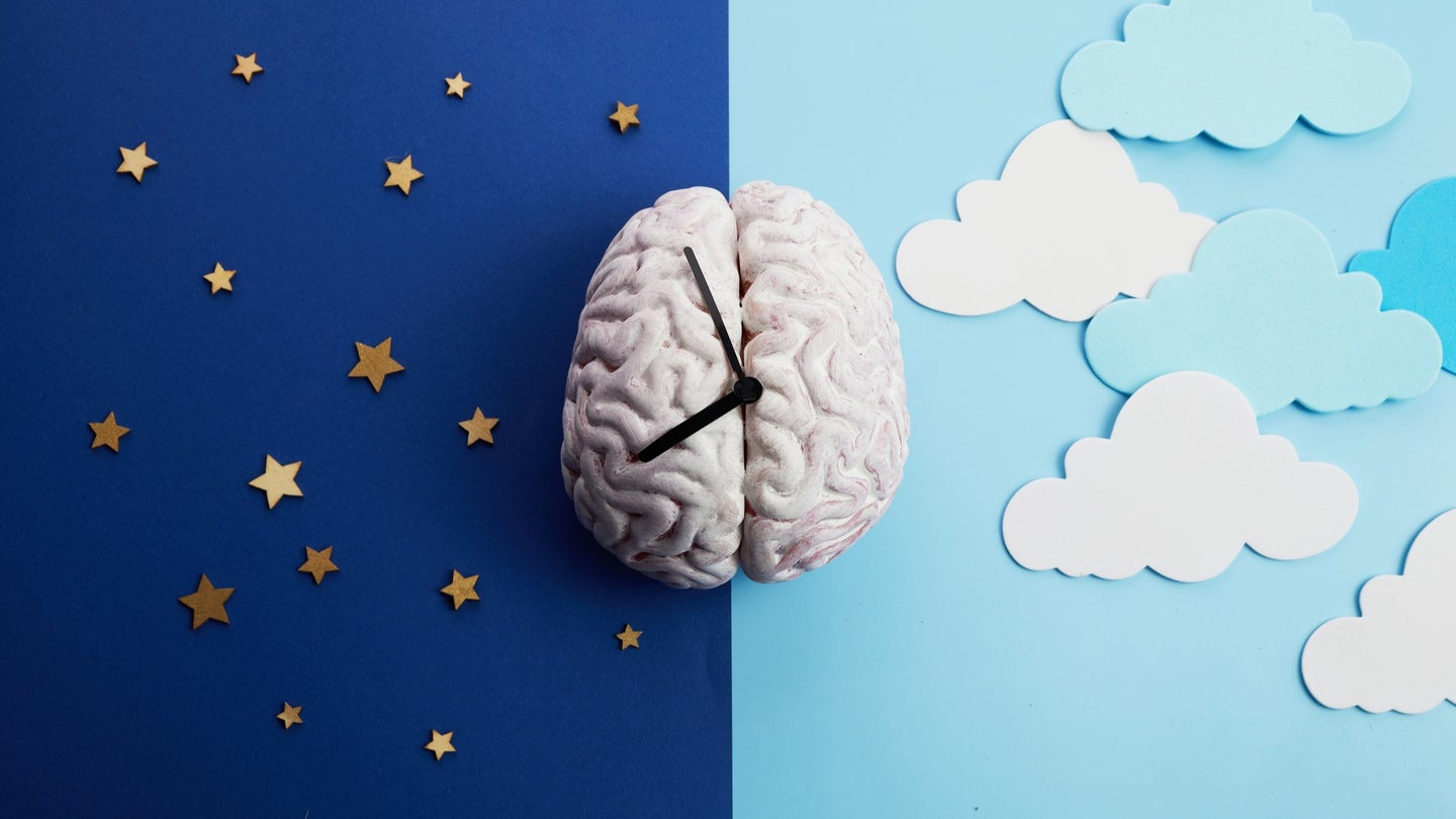 A clock-like brain indicates its role in sleep in an illustration.