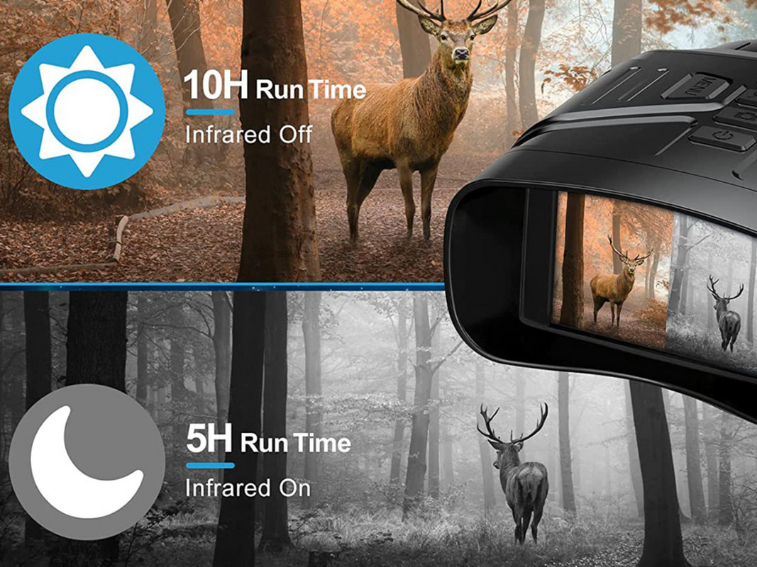 A deer in the daytime and via night vision in the dark