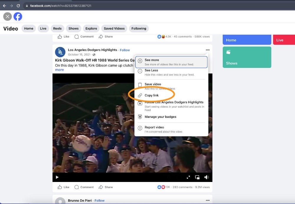 The menu on Facebook that allows you to save videos by selecting "Copy Link."