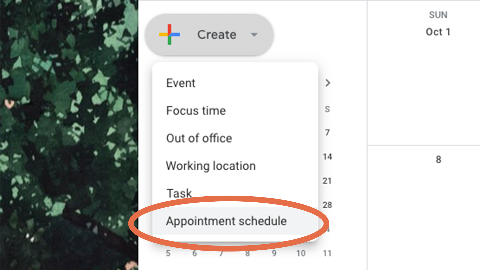 Screen showing Appointment schedule option menu