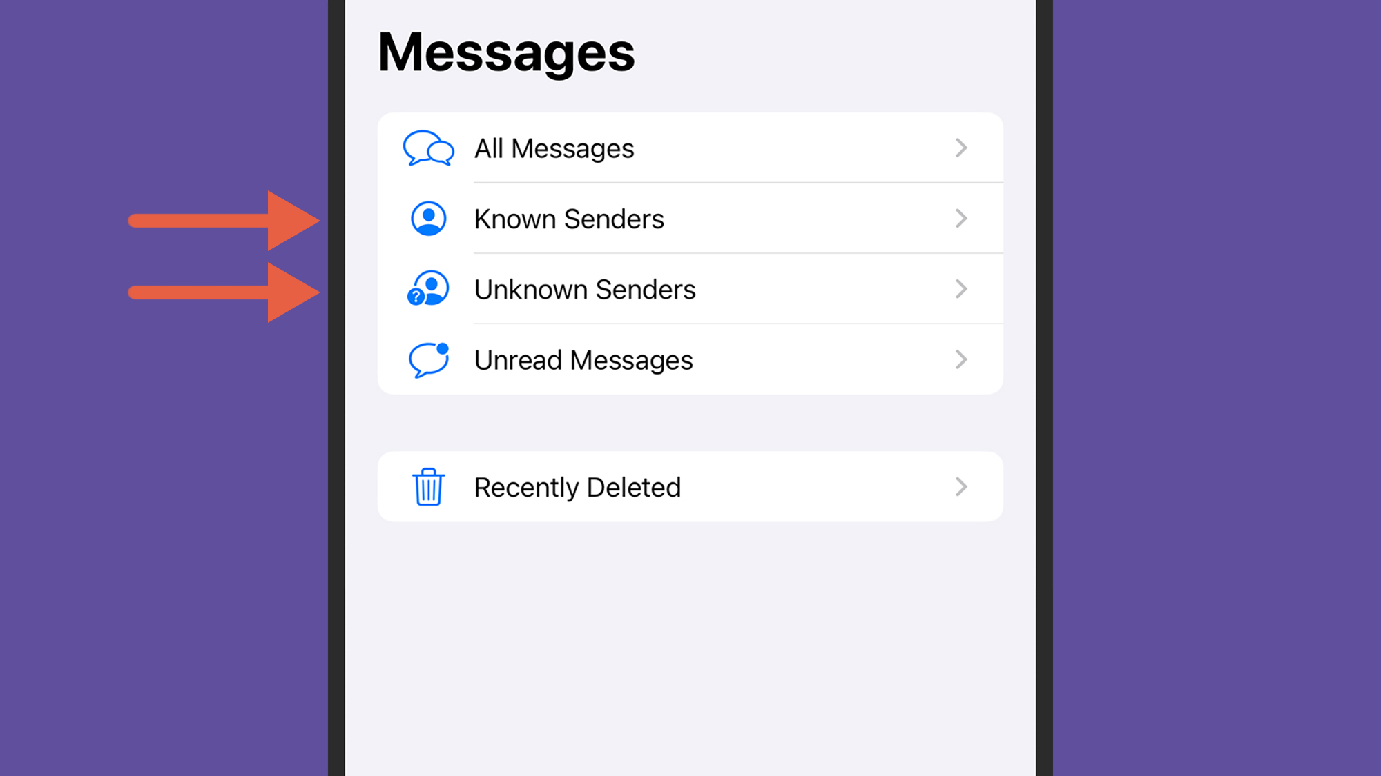 iOS menu showing the options to see filtered spam messages. 