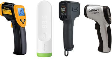 The best infrared thermometers of 2024, according to experts