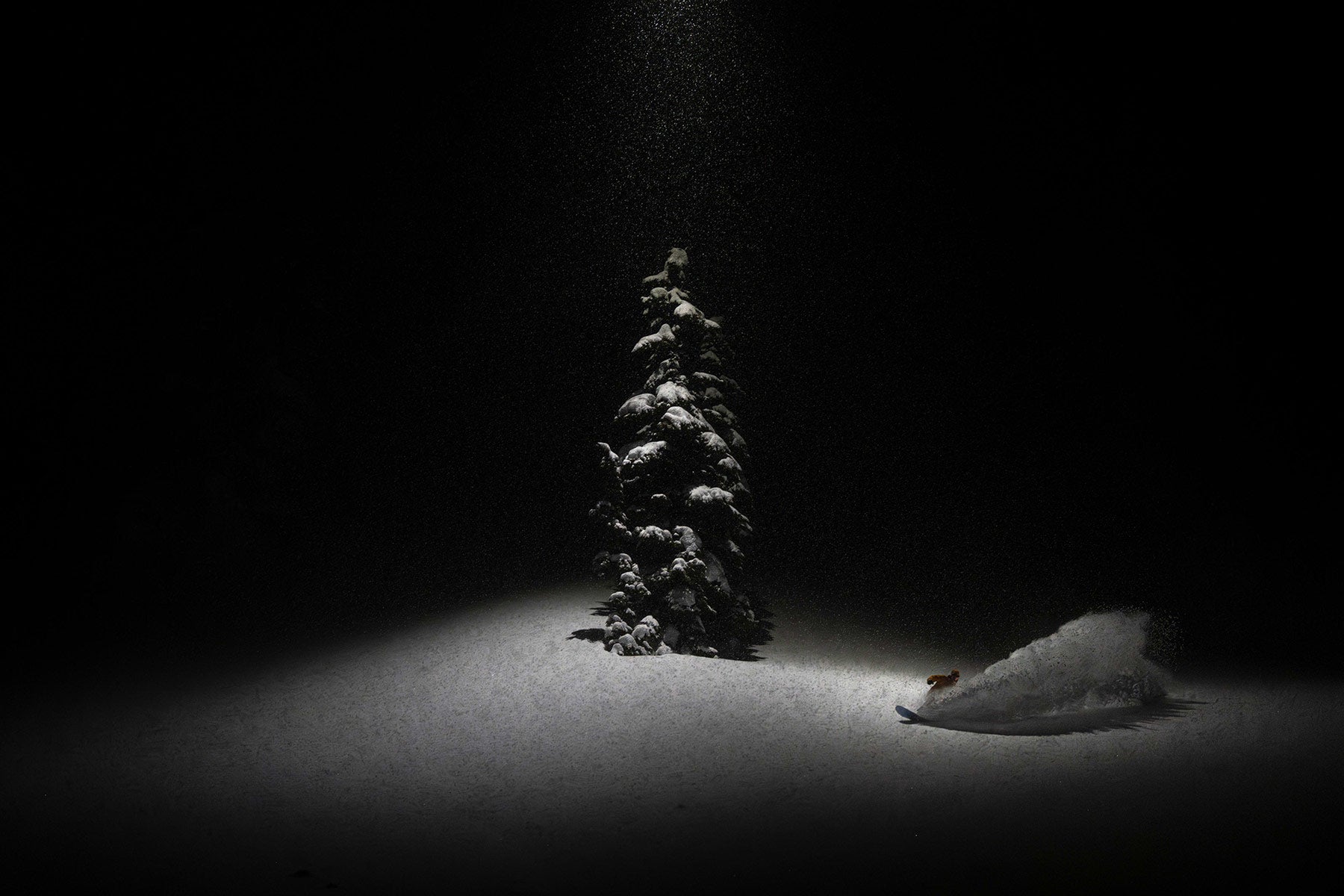 A snowboarder sprays snow next to a solitary tree at night, illuminated like a spotlight with snow falling around it.