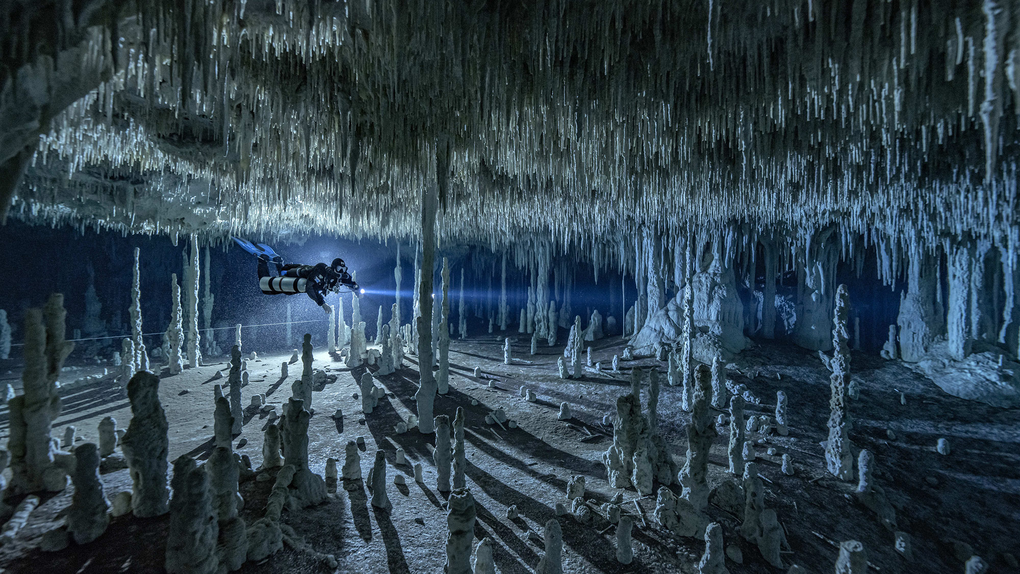 A scuba diver shines a flashlight in a flooded cave filled with stalactites and stalagmites.