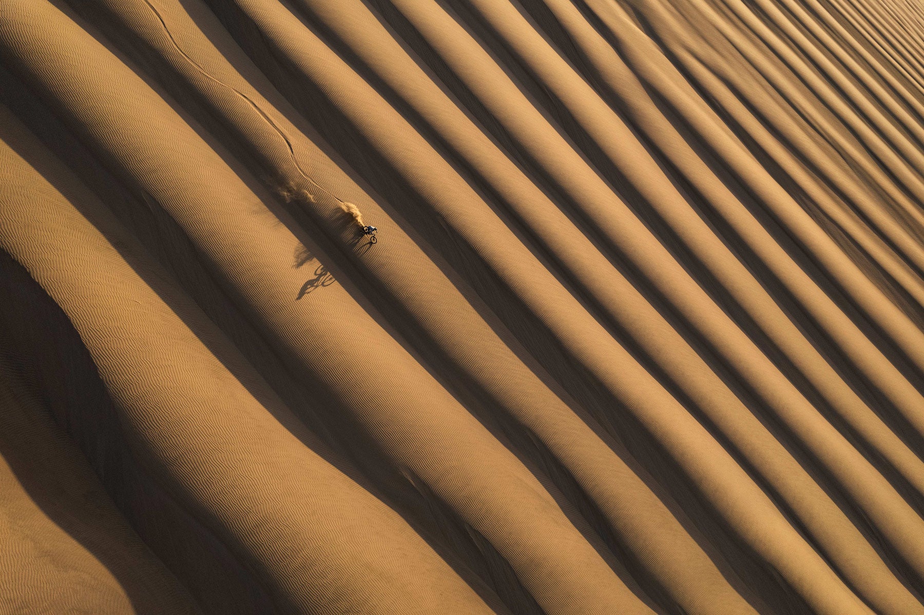 Rows of sand dunes are seen from above while a mountain biker cuts a line down one.