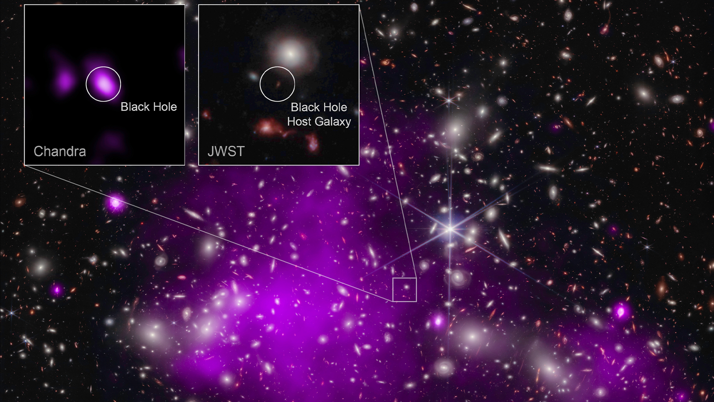 Astronomers found the most distant black hole ever detected in X-rays (in a galaxy dubbed UHZ1) using the Chandra X-Ray Observatory and the James Webb Space Telescope. X-ray emission is a telltale signature of a growing supermassive black hole. This result may explain how some of the first supermassive black holes in the universe formed. These images show the galaxy cluster Abell 2744 that UHZ1 is located behind, in X-rays from Chandra and infrared data from JWST, as well as close-ups of the black hole host galaxy UHZ1.
