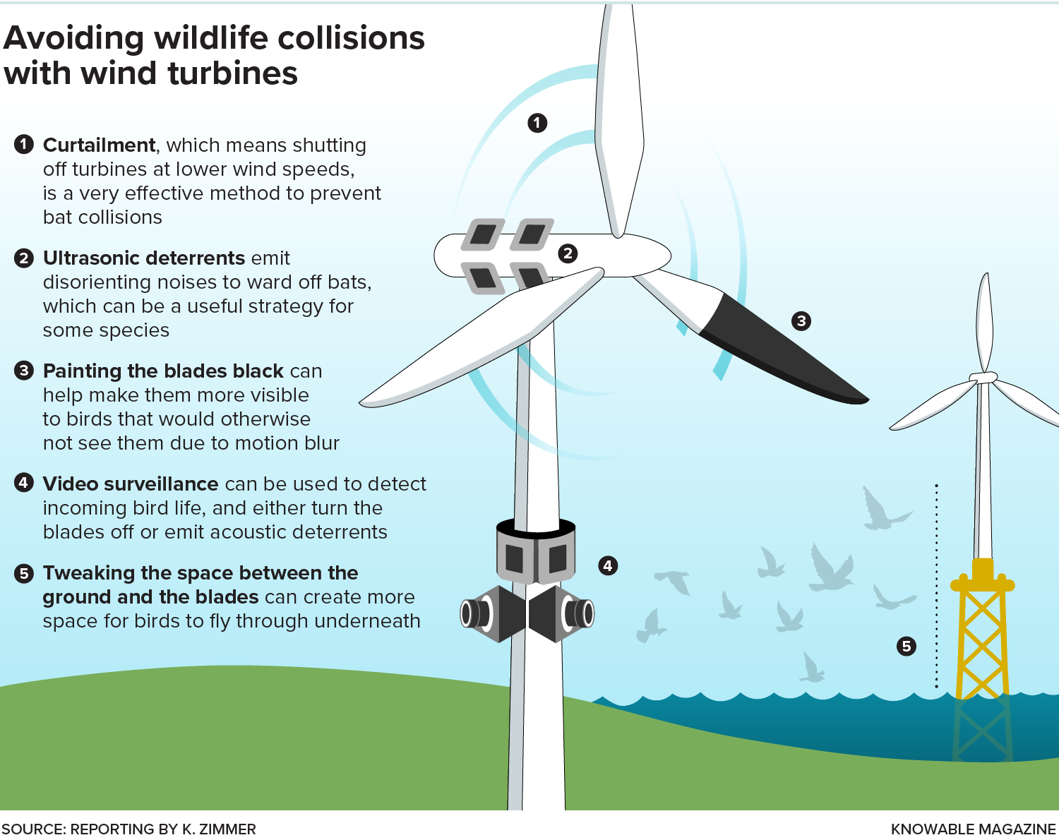 Scientists are exploring a number of ways to reduce the impact of wind turbine facilities on wildlife. Some solutions — such as curtailment — are ready to be implemented, while others are still under investigation.