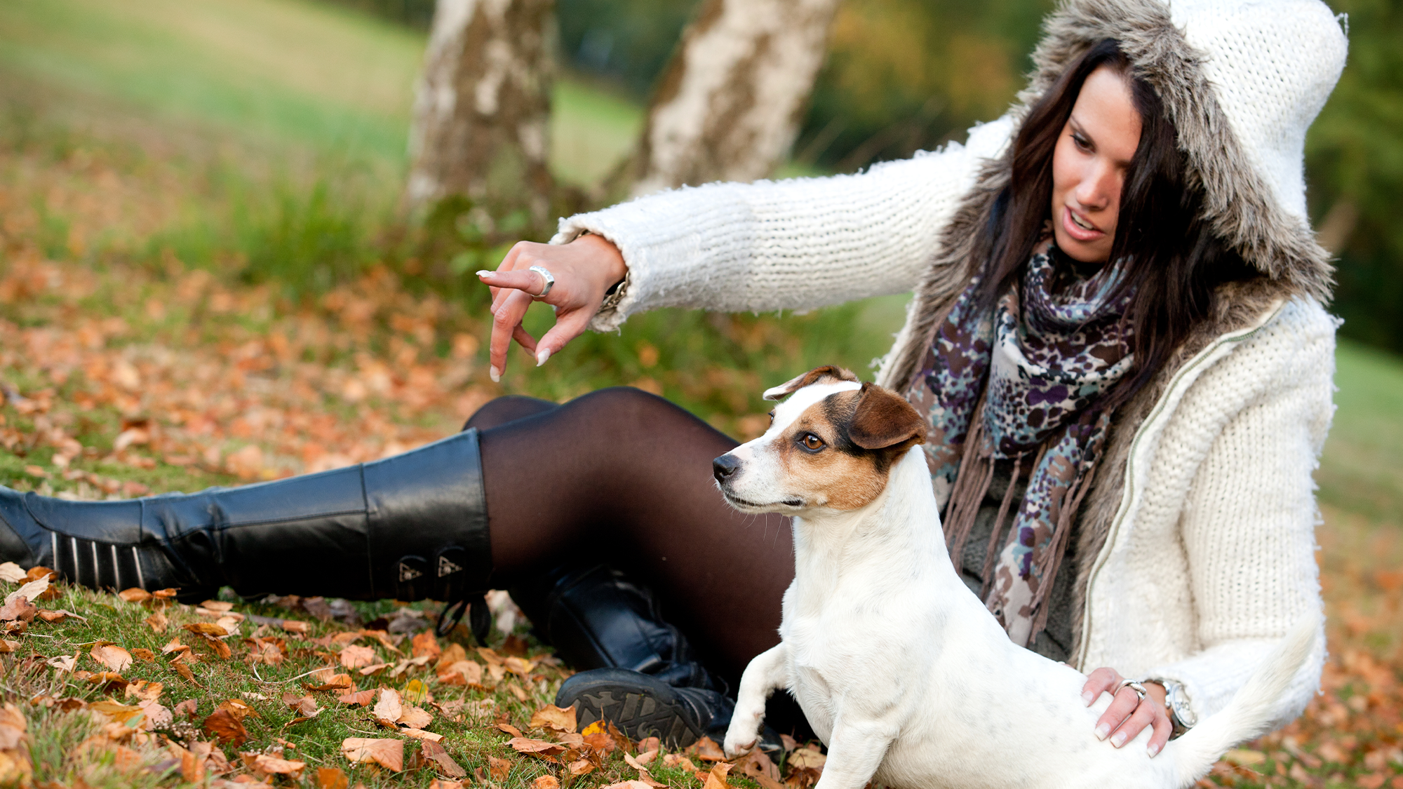 A woman in a puffy coat points in a direction. Her small dog looks excitedly in that direction. They are sitting in a park with oranges leaves on green grass.