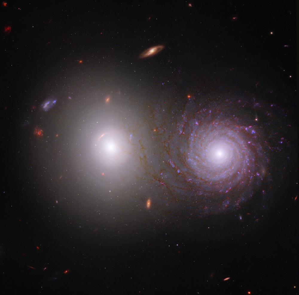 An elliptical galaxy (left) and a spiral galaxy (right). The elliptical galaxy does not have a defined center, and looks like a shining bright light. The spiral galaxy has a defined center with arms swirling around it. The image includes near-infrared light from the James Webb Space Telescope and ultraviolet and visible light from the Hubble Space Telescope.

