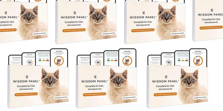 Shop pet DNA kits at Amazon for Black Friday and find your dog or cat’s origin story