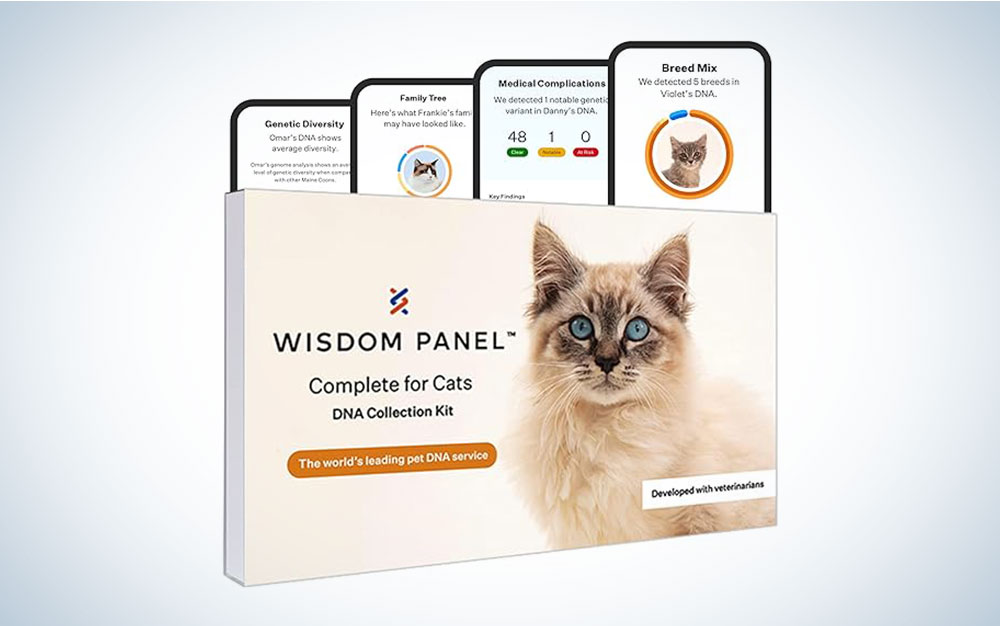 A cat DNA test from Wisdom Health on a plain background