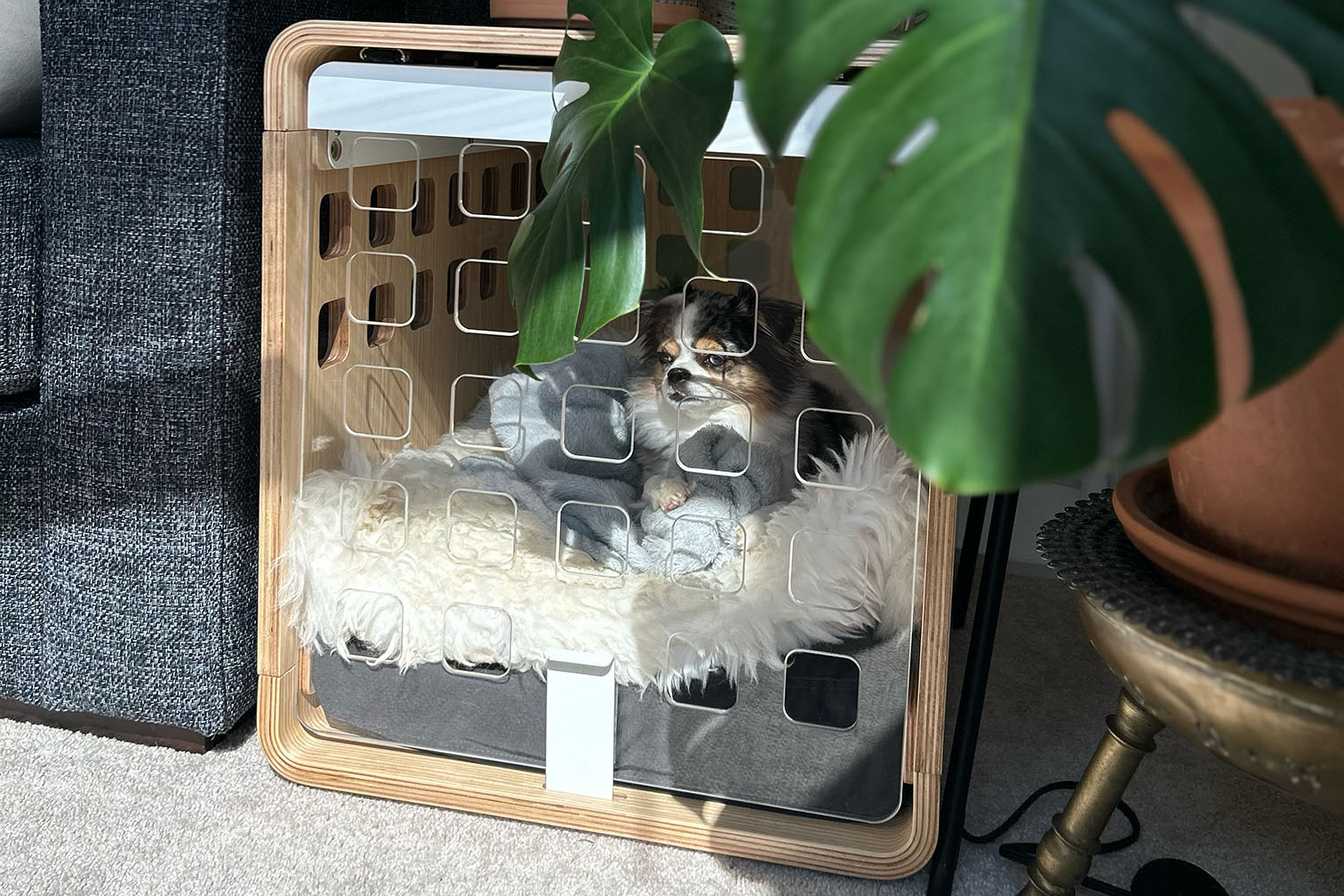 https://www.popsci.com/uploads/2023/11/27/Charli-dog-in-her-Fable-crate-next-to-the-couch.jpg?auto=webp&width=1440&height=960