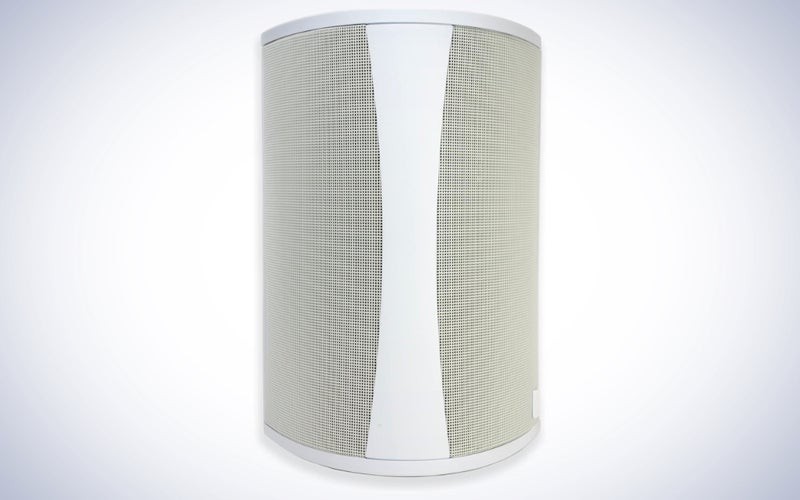 Definitive Technology AW6500 Outdoor Speaker