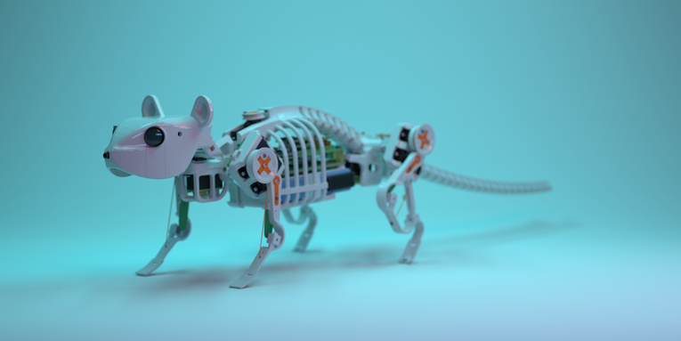 Meet NeRmo, the mouse robot with backbone