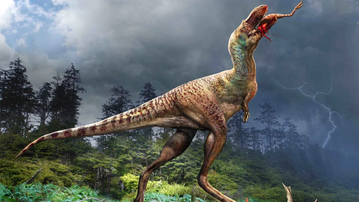 An illustration of a tall two-legged dinosaur called Gorgosaurus libratus eating a small bird-like dinosaur called Citipes elegans. The smaller dinosaur's legs are still visible as the Gorgosaurus swallows the Citipes.