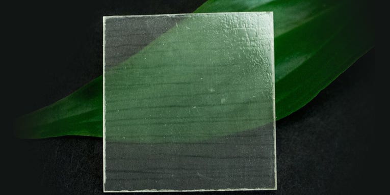 Why scientists are making transparent wood