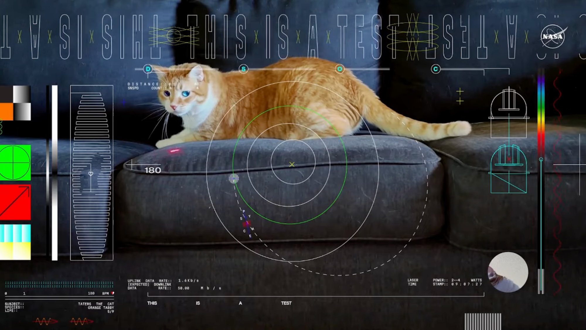 El gato Taters protagoniza el primer vídeo ‘ultra-HD’ enviado desde el espacio profundo