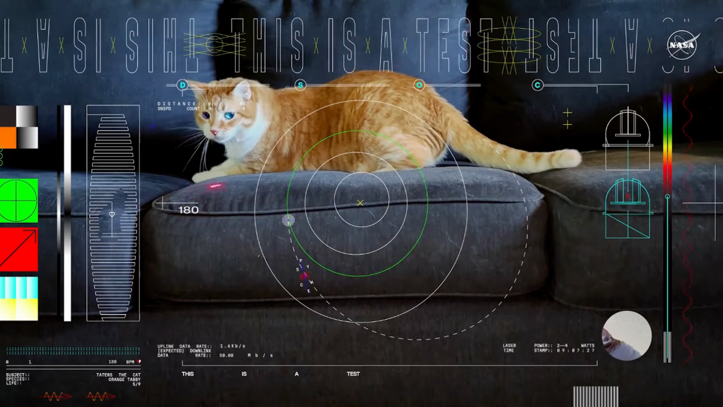 Screenshot of cat video sent from Psyche spacecraft to NASA