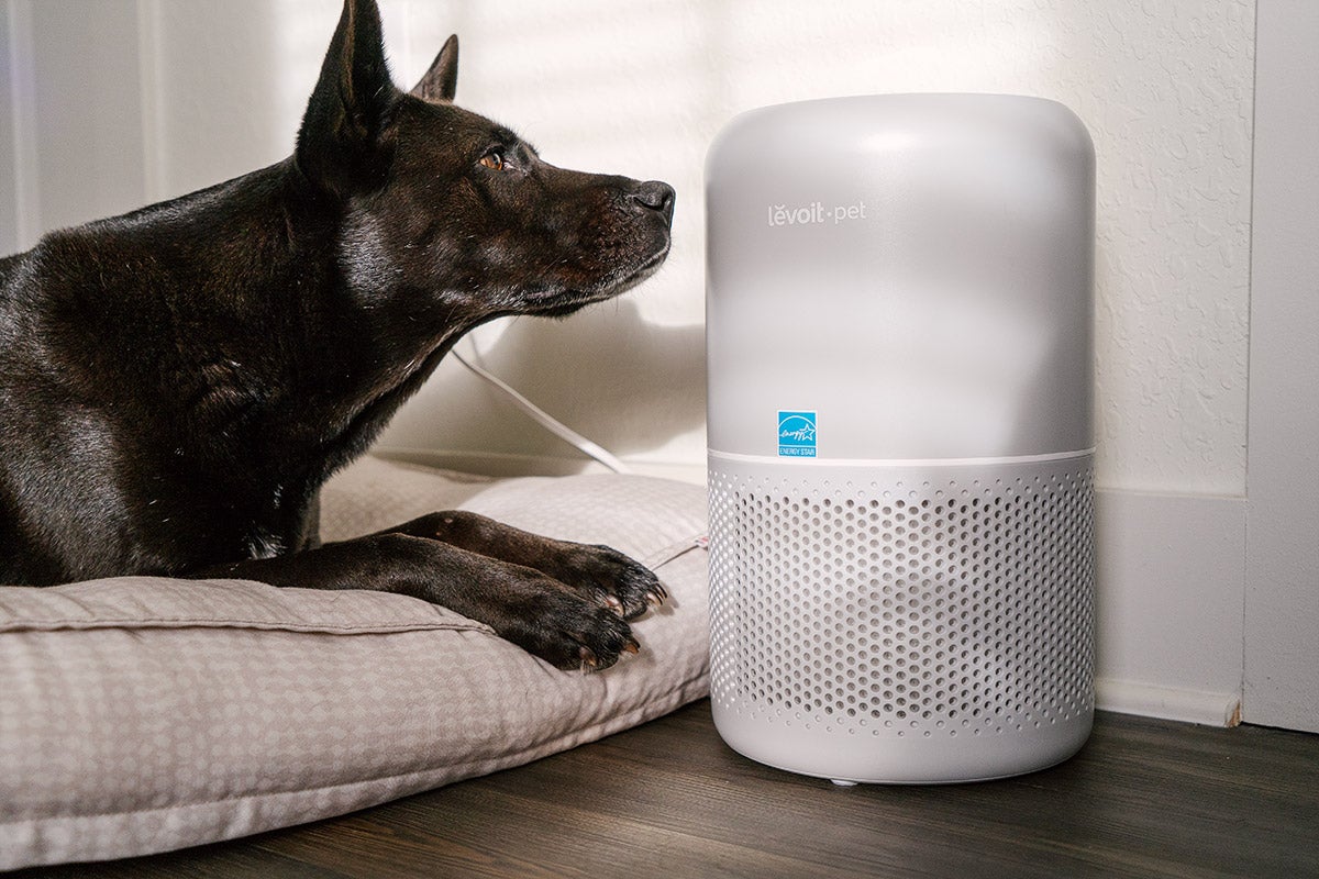 Levoit P350 Air Purifier next to a black dog on the floor.