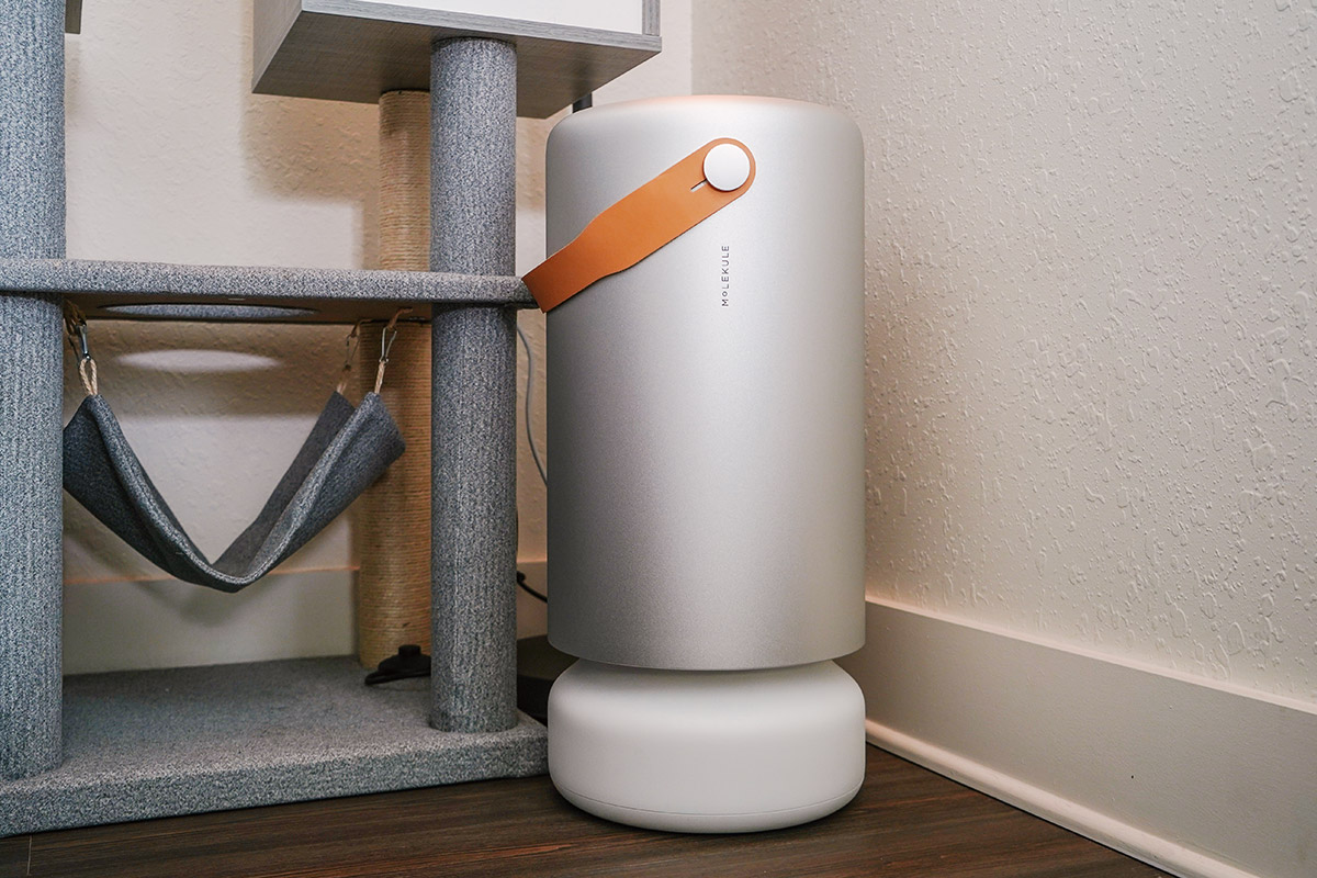 Air Purifiers for Pet Odors: Do They Work? - Molekule