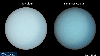 Animation of seasonal changes in color on Uranus during two Uranus years. The left-hand disc shows the appearance of Uranus to the naked eye, while the right-hand disc has been color stretched and enhanced to make atmospheric features clearer.