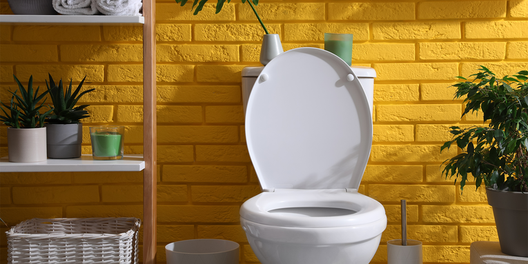Scientists finally discover the enzyme that makes pee yellow
