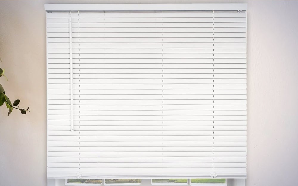 Chicology Blinds For Windows on a plain white background.