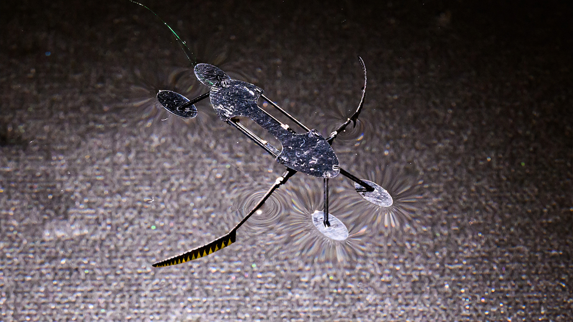 These micro-robots were inspired by mini-bugs and water striders