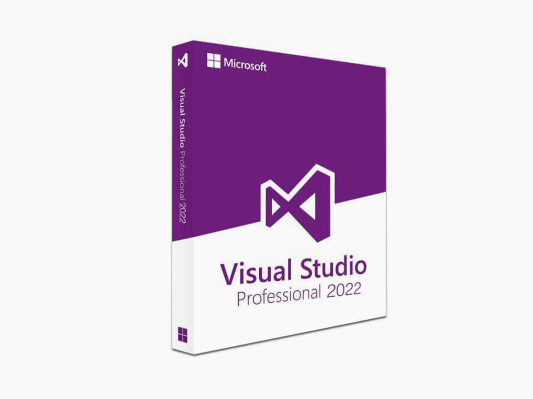 A Microsoft Visual Studio Professional 2022 package on a plain background.