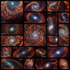 A collection of 19 face-on spiral galaxies from the James Webb Space Telescope in near- and mid-infrared light. CREDIT: Image NASA, ESA, CSA, STScI, Janice Lee (STScI), Thomas Williams (Oxford), PHANGS Team. Designer: Elizabeth Wheatley (STScI)
