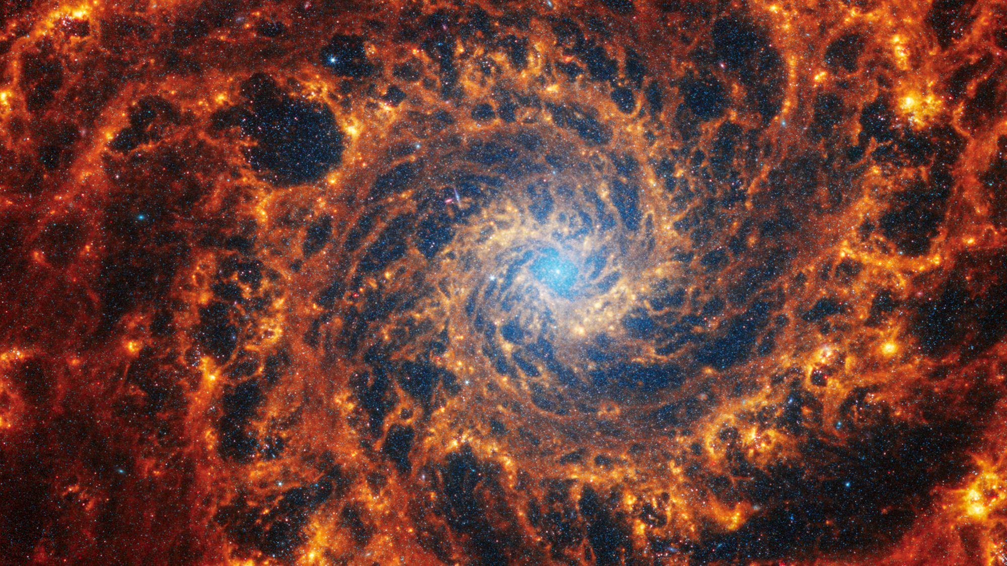 Face-on spiral galaxy, NGC 628, is split diagonally in this image: The James Webb Space Telescope’s observations appear at top left, and the Hubble Space Telescope’s on bottom right. JWST’s observations combine near- and mid-infrared light and Hubble’s showcase visible light. Dust absorbs ultraviolet and visible light, and then re-emits it in the infrared. In JWST’s images, we see dust glowing in infrared light. In Hubble’s images, dark regions are where starlight is absorbed by dust.
