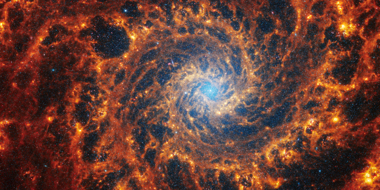 JWST images show off the swirling arms of 19 spiral galaxies