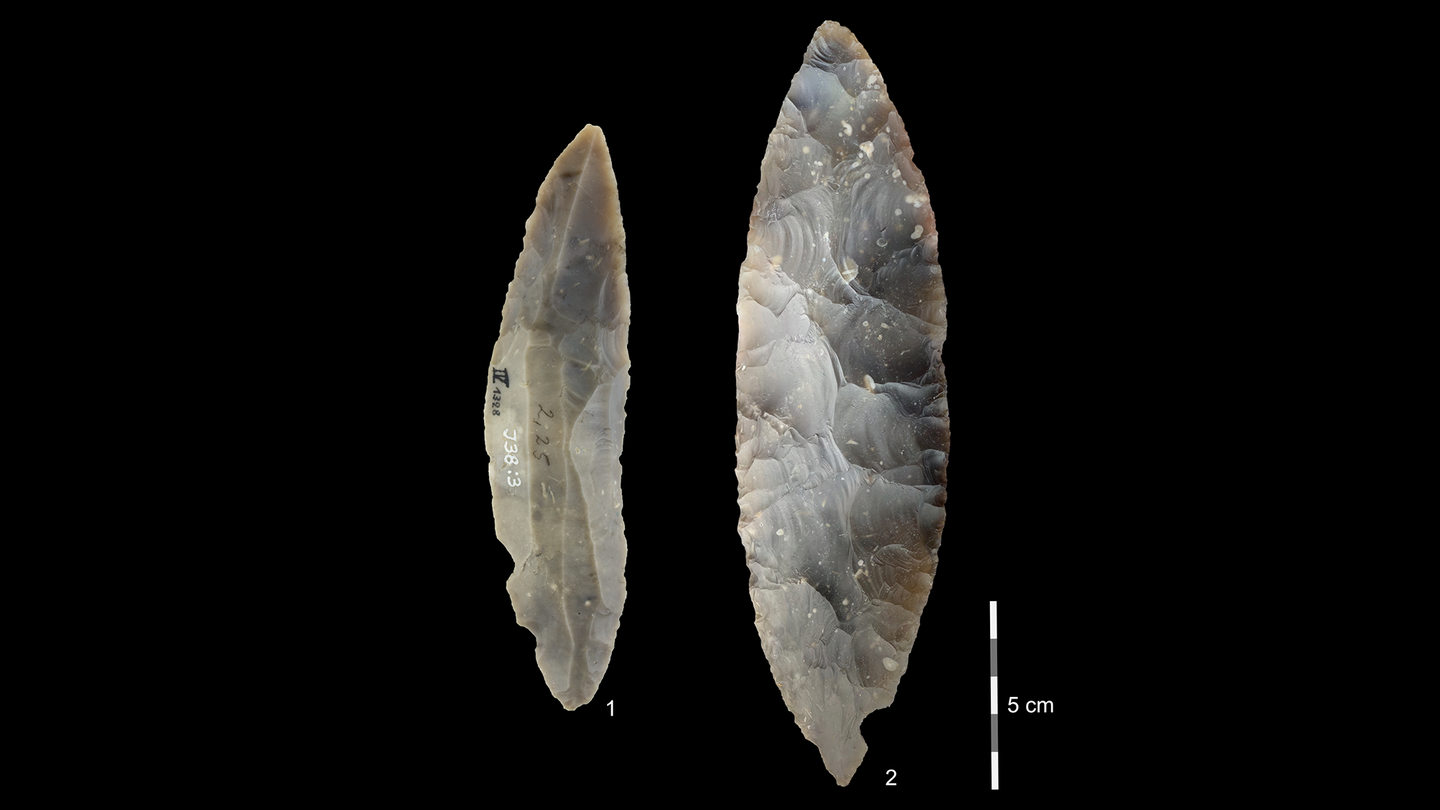 Two long stone tools from the Lincombian–Ranisian–Jerzmanowician (LRJ) culture uncovered at Ranis. Item 1 is a partial bifacial blade point characteristic of the LRJ. Item 2 also contains finely made bifacial leaf points.