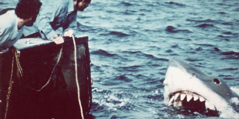 ‘Jaws’ portrayed sharks as monsters 50 years ago, but it also inspired a generation of shark scientists