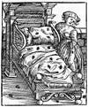 Bed bugs have been unwelcome companions of humanity for much of history. This depiction of the creatures comes from a book published in Strasburg in 1536. CREDIT: WELLCOME COLLECTION