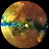 Half of the X-ray sky, projected onto a circle (so-called Zenit Equal Area projection) with the center of the Milky Way on the left and the galactic plane running horizontally. Photons have been color-coded according to their energy (red for energies 0.3-0.6 keV, green for 0.6-1 keV, blue for 1-2.3 keV). CREDIT: Â© MPE, J. Sanders for the eROSITA consortium.